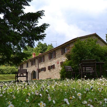 Fattoria Il Praticino Villa Castelfranco di Sopra Dış mekan fotoğraf
